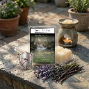 Summer-Sentry-Wax-Melts-2.webp